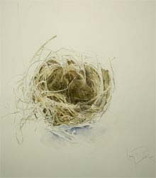 MJ Levy Dickson sorts through her work